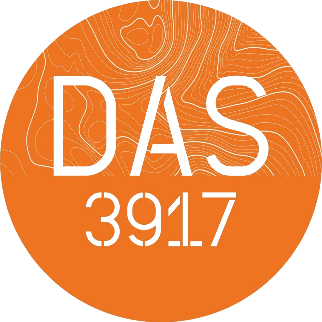das 3917