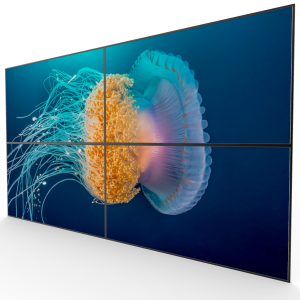 55'' Videowall