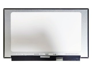 15.6'' LCD Panel, B156HAN08.4 (AUOAF90)