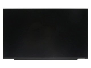 15.6'' LCD Panel, N156HCG-EN1 (MCN151B)