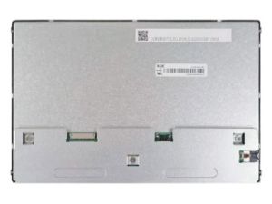 10.1'' LCD Ekran,  EV101WXM-N81