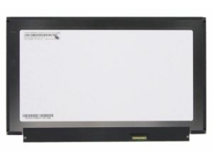 13.3'' LCD Panel, R133NWF4 R5 (IVO0536)