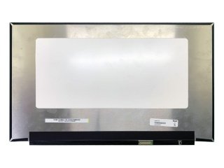 15.6'' LCD Panel, NE156FHM-N53 (BOE088A)